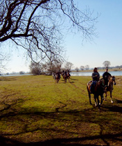 Frühlingswanderritt 2003