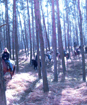 Frühlingswanderritt 2003