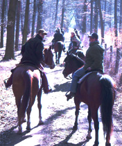 Frühlingswanderritt 2003